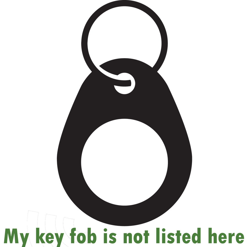 Other Key Fobs