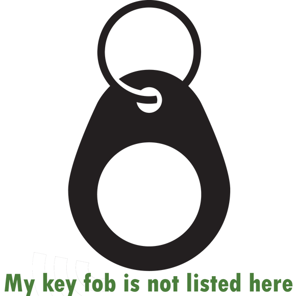 Other Key Fobs